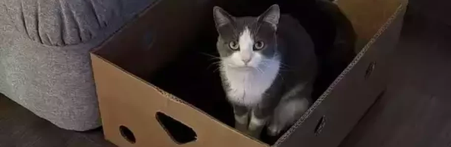 Kamil Drexler Cover Image