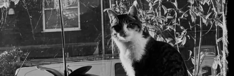 Jakub Eliáš Cover Image